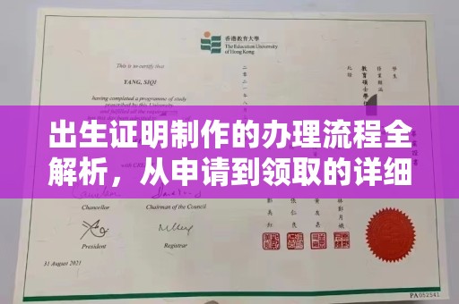 申扎出生证明制作的办理流程全解析，从申请到领取的详细指南
