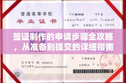 平桂签证制作的申请步骤全攻略，从准备到提交的详细指南